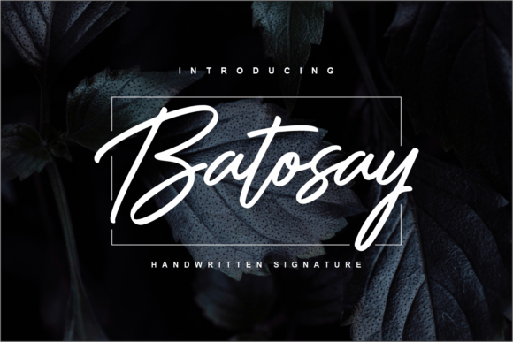 Batosay: The Ultimate Elegant Script for Luxury Branding